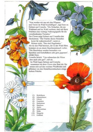 Naturbuch Blumen